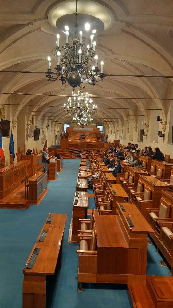 Obrázek